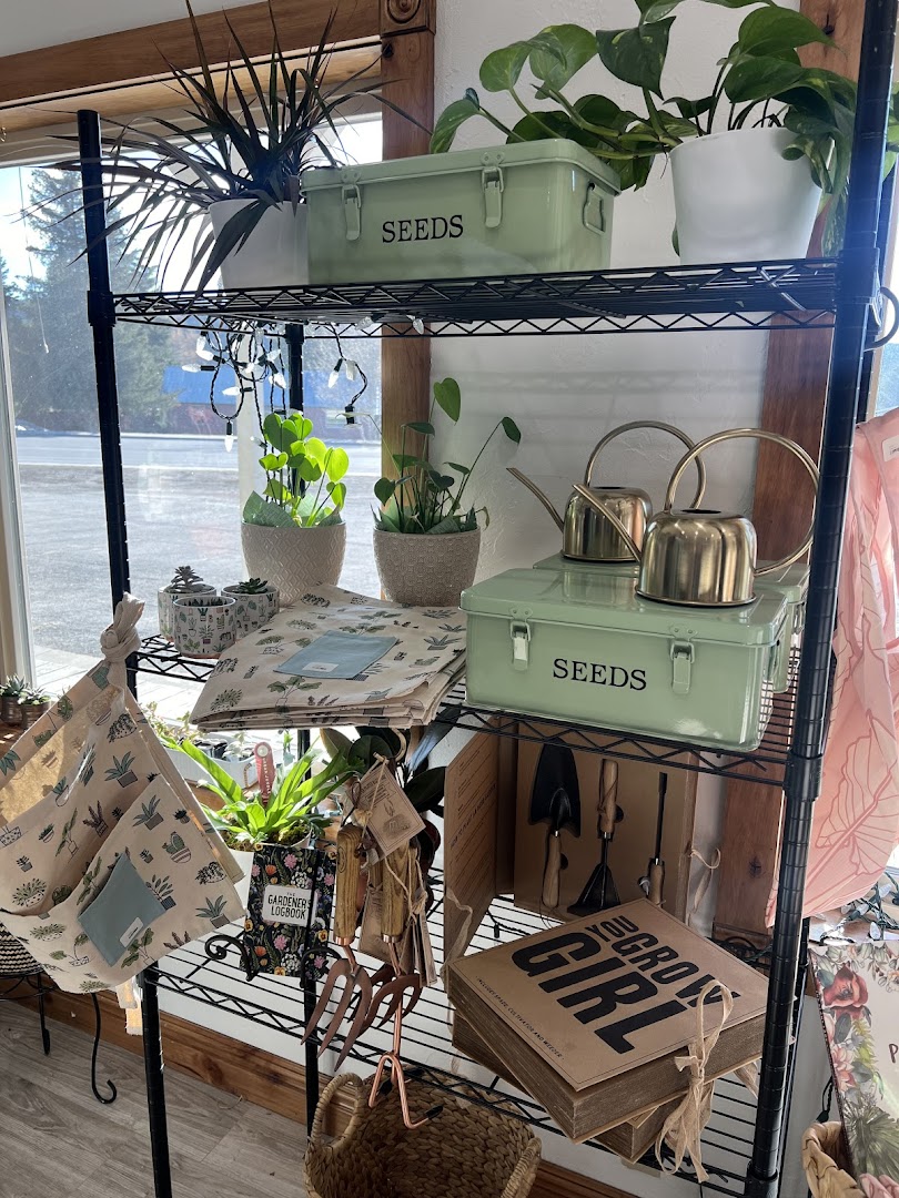 Gifts and home goods inside the shop